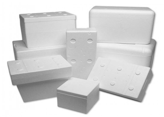 Where can you sales buy styrofoam coolers